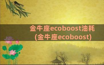 金牛座ecoboost油耗(金牛座ecoboost)
