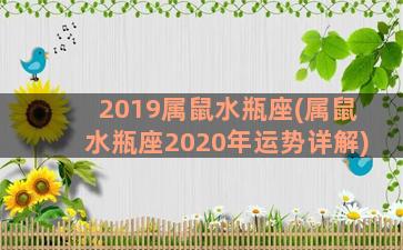 2019属鼠水瓶座(属鼠水瓶座2020年运势详解)
