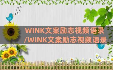 WINK文案励志视频语录/WINK文案励志视频语录