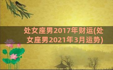 处女座男2017年财运(处女座男2021年3月运势)