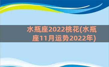 水瓶座2022桃花(水瓶座11月运势2022年)