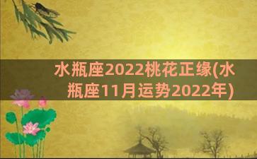 水瓶座2022桃花正缘(水瓶座11月运势2022年)