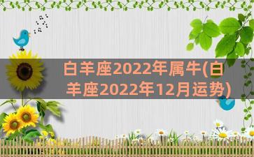 白羊座2022年属牛(白羊座2022年12月运势)